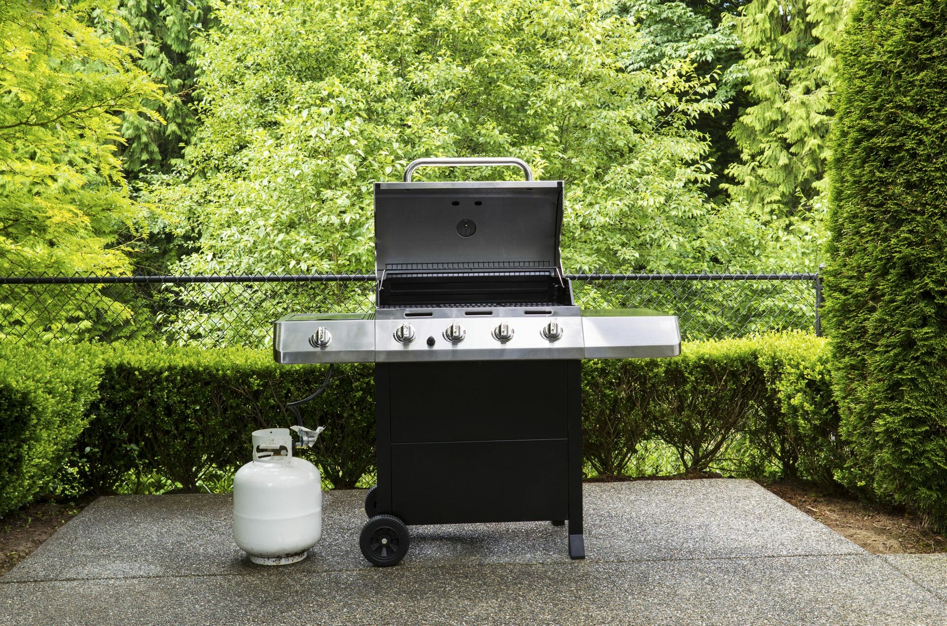 gas grill outdoor with trees on the background